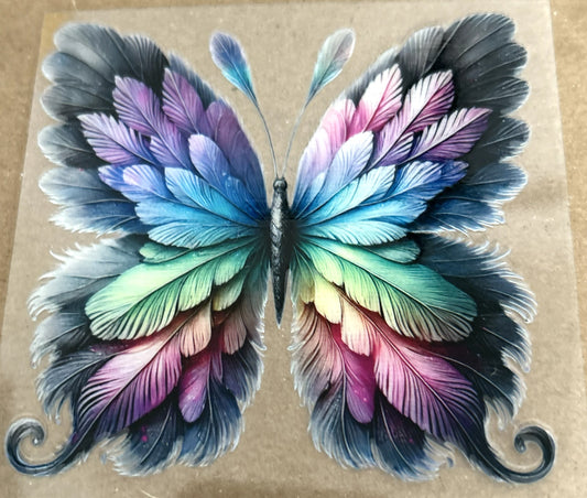 Butterfly - Multi color